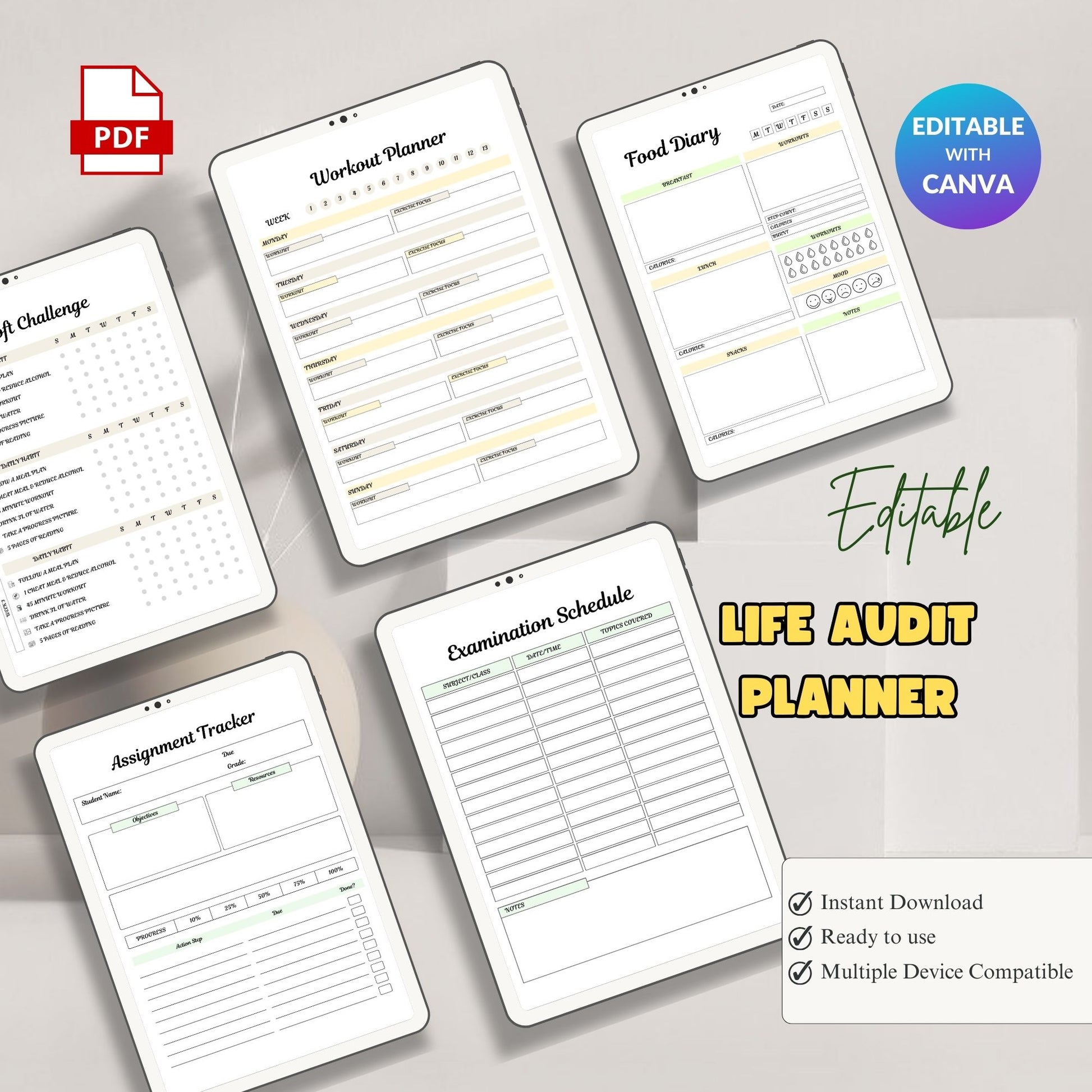 LIFE AUDIT PLANNER